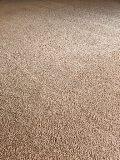 Zig Zag Carpet Cleaning Adelaide — Customer photo