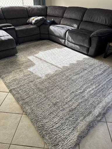Go Green Carpet Clean. — Customer photo