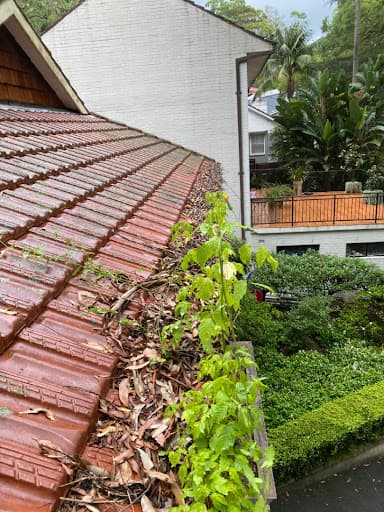 Pure Gutters — Customer photo