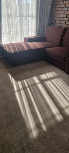 Delight Carpet Care — Customer photo
