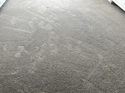 Coast Carpet and Lounge cleaning — Customer photo