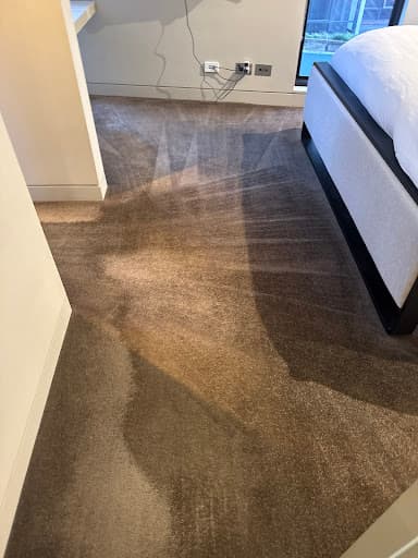 Revive Carpet Cleaning — Customer photo
