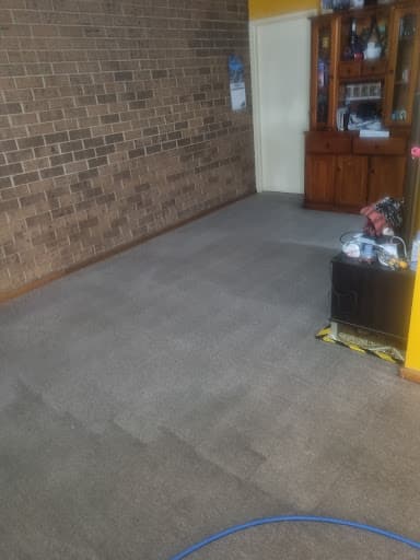 Zig Zag Carpet Cleaning Adelaide — Customer photo