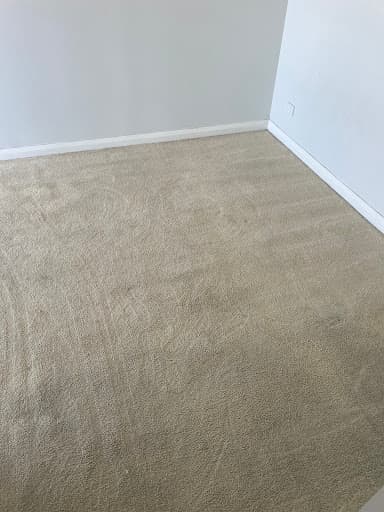 Magic Touch Carpet & Tile Cleaning — Customer photo