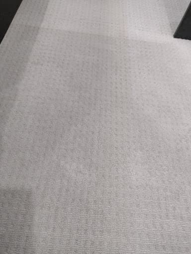 Premium Carpet Cleaning — Customer photo