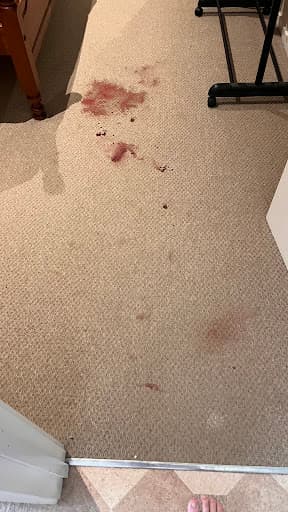 Ballarat Cleaning Specialists — Customer photo