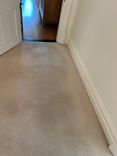 Delight Carpet Care — Customer photo