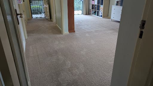 Sydney Steemer Carpet Cleaner — Customer photo