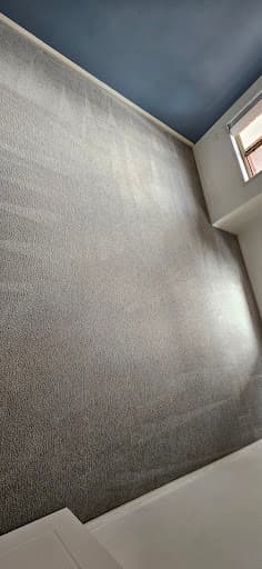 Coast Carpet and Lounge cleaning — Customer photo