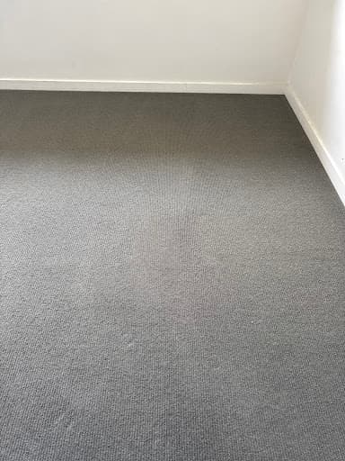 Stain Solutions Carpet Cleaning Gold Coast — Customer photo