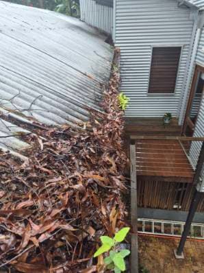 Gutter Savvy Gutter Cleaning — Customer photo