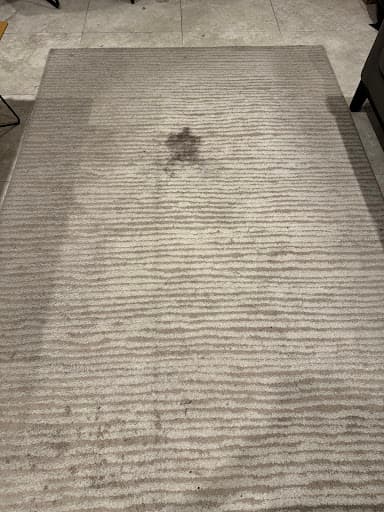 Monster Cleaning Sydney — Customer photo