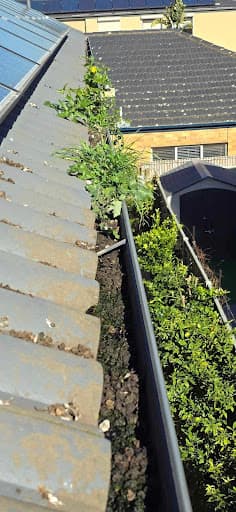 Geelong Local Gutter Cleaning — Customer photo