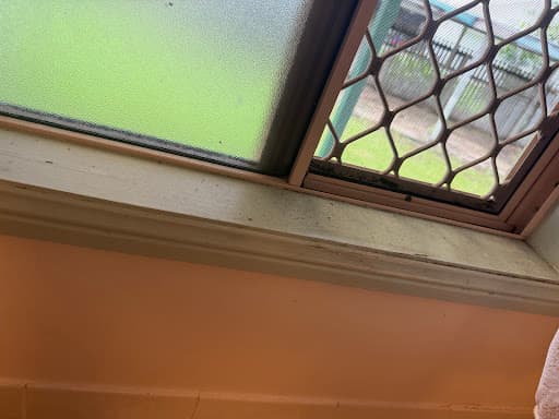 BnR Carpet Cleaning — Customer photo