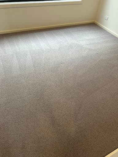 Barwon Carpet Cleaning — Customer photo