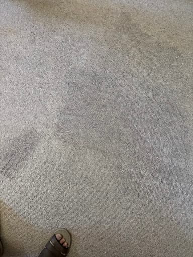 Clean as a Whistle — Customer photo