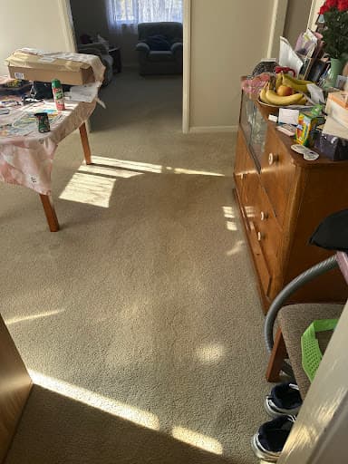 Electrodry Carpet Dry Cleaning Newcastle — Customer photo