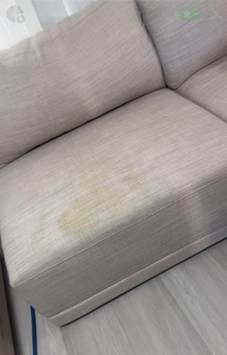 Stain Solutions Carpet Cleaning Gold Coast — Customer photo