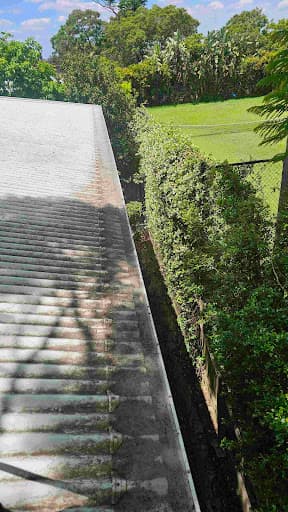 Gutter Savvy Gutter Cleaning — Customer photo