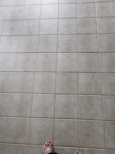 Premium Carpet Cleaning — Customer photo