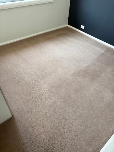 Monster Cleaning Sydney — Customer photo
