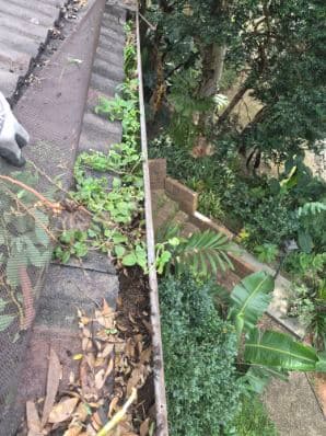 Gutter Savvy Gutter Cleaning — Customer photo
