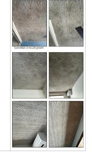 Magic Carpet Cleaning & Restoration Townsville — Customer photo