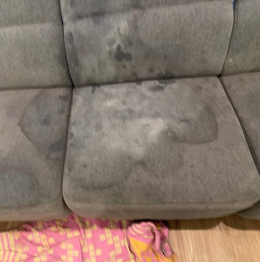 Stain Doctors Carpet Cleaning — Customer photo