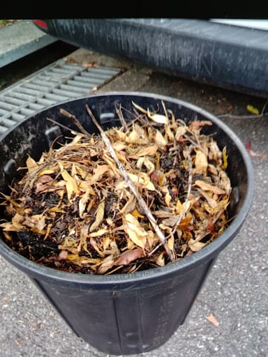 Gutter Savvy Gutter Cleaning — Customer photo