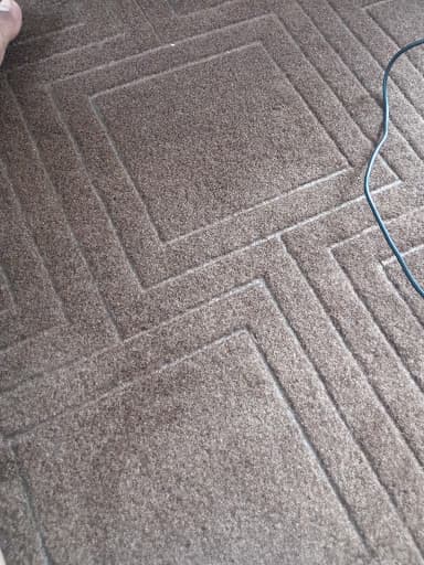 PRO Carpet Cleaning — Customer photo