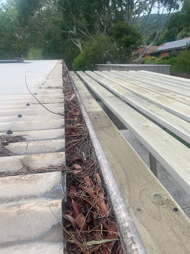 CAPITAL CITY GUTTER CLEANING — Customer photo