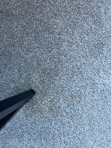 Stain Solutions Carpet Cleaning Gold Coast — Customer photo