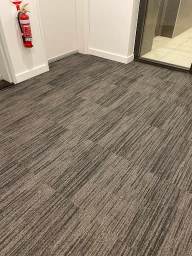 Sydney Steemer Carpet Cleaner — Customer photo