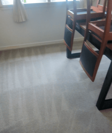 Carpestology Carpet Cleaning Brisbane — Customer photo
