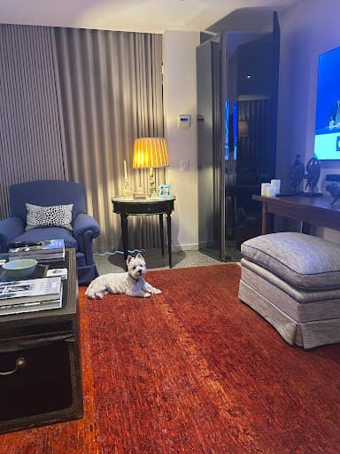 Premier Rug Cleaning and Washing - Brisbane — Customer photo