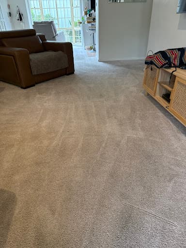 Stain Doctors Carpet Cleaning — Customer photo