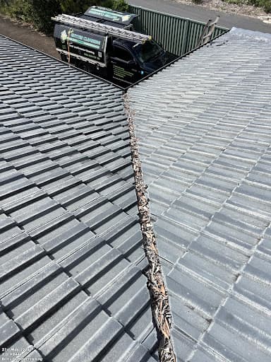 Ben's Gutter Cleaning — Customer photo