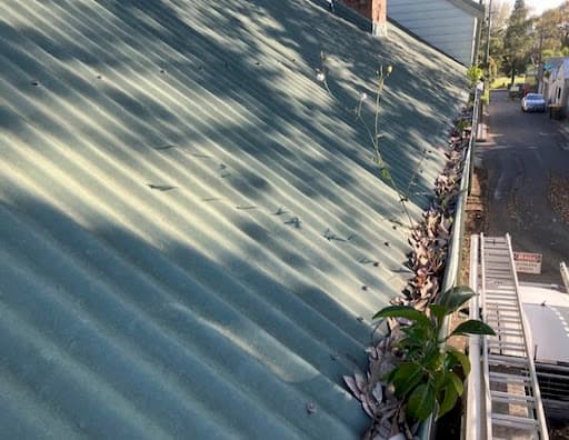 Roof and Gutter Cleaning Sydney — Customer photo
