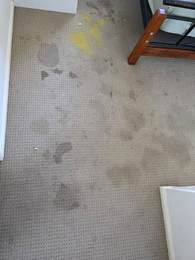 Magic Carpet Cleaning & Restoration Townsville — Customer photo