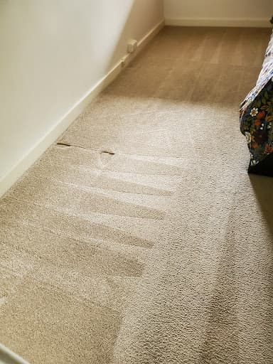 Complete Carpet Cleaners Adelaide — Customer photo