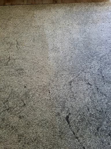 Choice 1 Carpet Cleaning — Customer photo