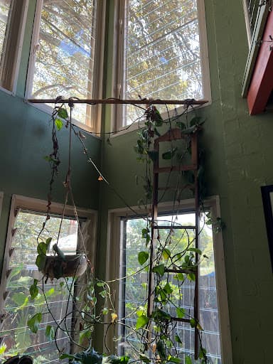 Newcastle Window & Gutter Cleaning by Newy Window Cleaning Co — Customer photo