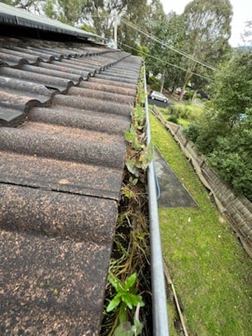 Vacuum Gutter Cleaning Melbourne — Customer photo