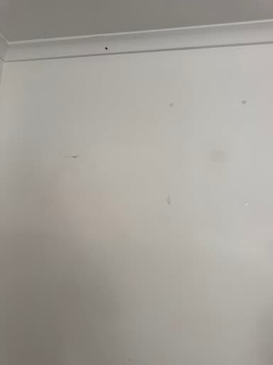 End of Lease Cleaning Geelong — Customer photo