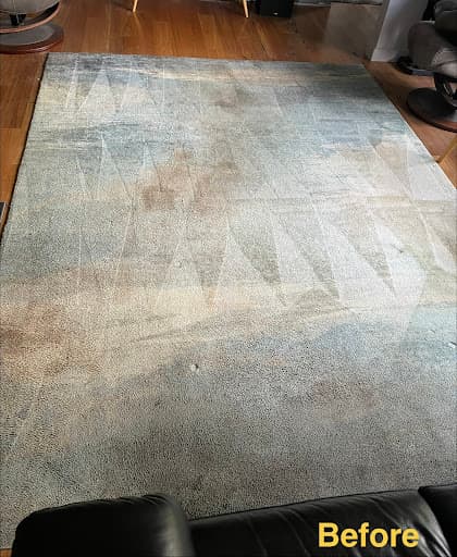 iWash Rugs — Customer photo