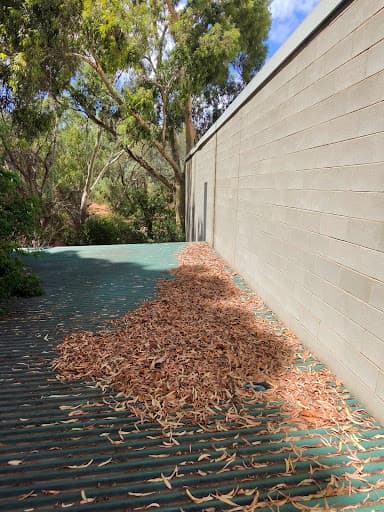 Gutter Guys Adelaide — Customer photo