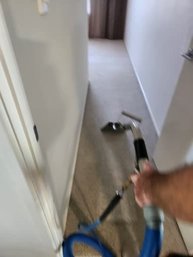 BnR Carpet Cleaning — Customer photo