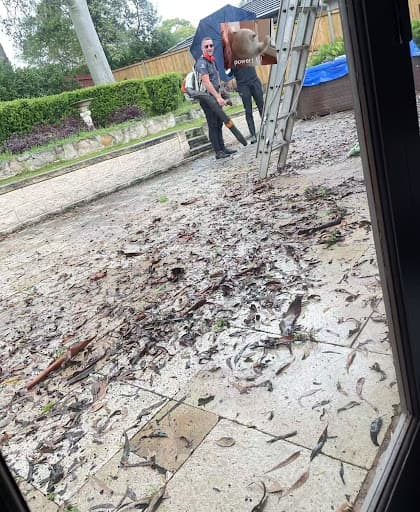Sydney Gutter Cleaners — Customer photo