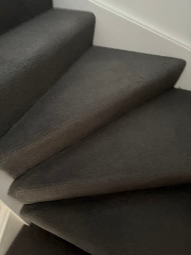 Stain Doctors Carpet Cleaning — Customer photo