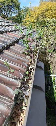 Gutter Cleaning In Melbourne — Customer photo